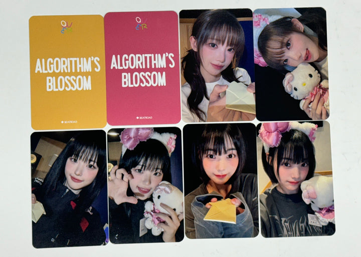 QWER "Algorithm&