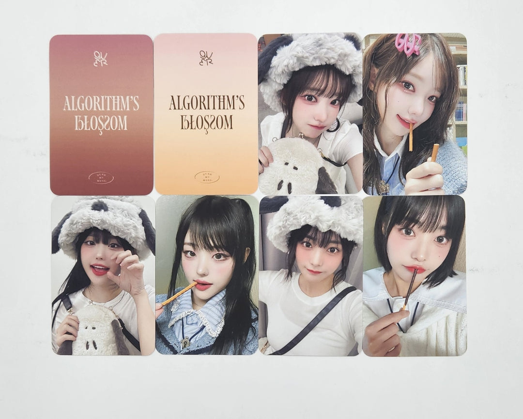 QWER "Algorithm&