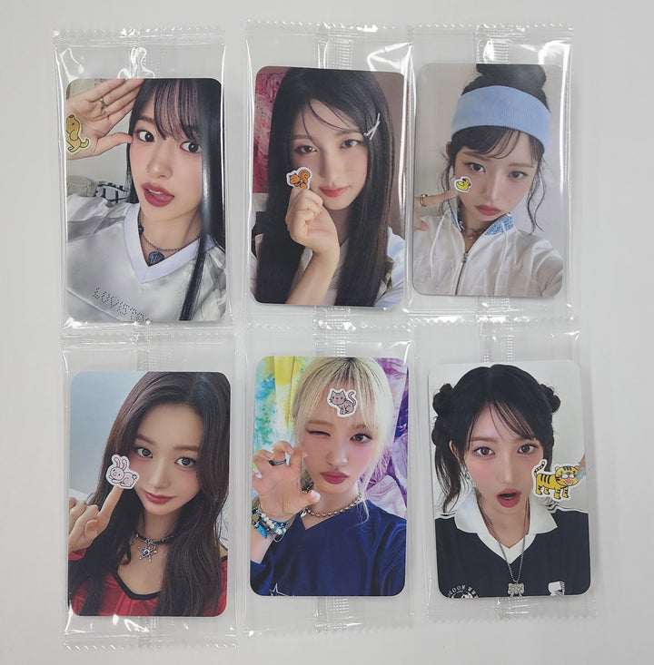IVE "Colorful Days with IVE" 2025 Season&