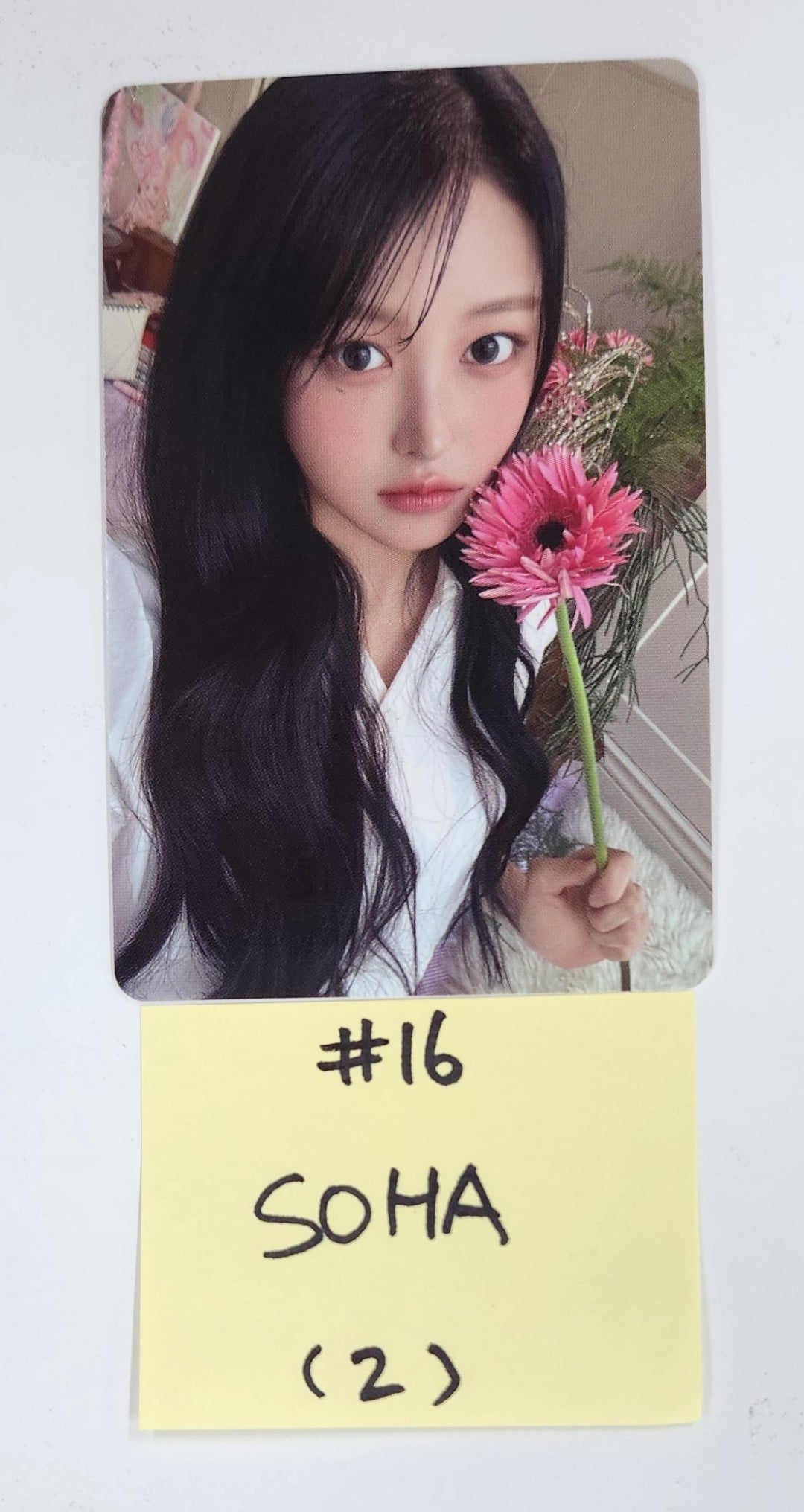 SAY MY NAME "My Name Is..." - Official Photocard [25.3.20]