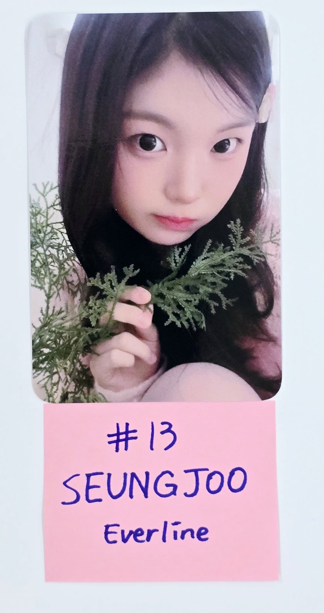 SAY MY NAME "My Name Is..." - Everline Fansign Event Photocard [25.3.21]