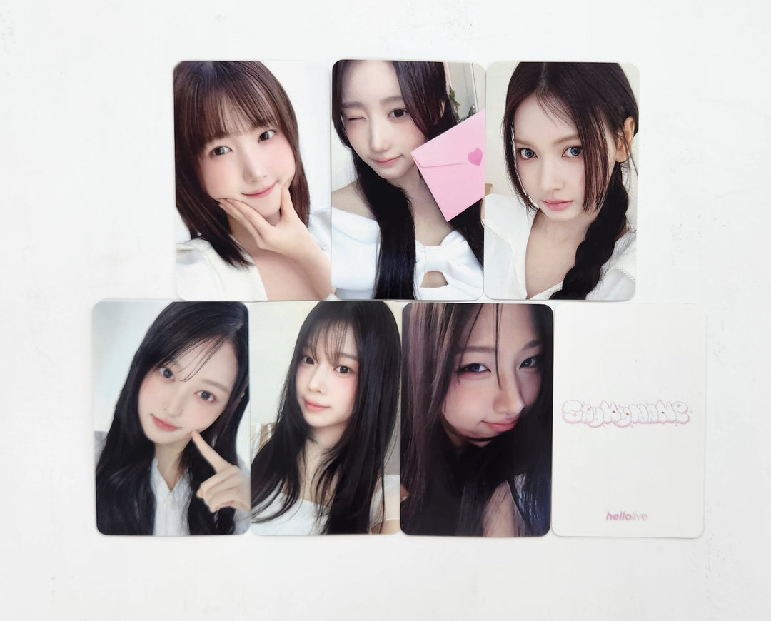 SAY MY NAME "My Name Is..." - Hello Live Fansign Event Photocard Round 2 [25.3.24]