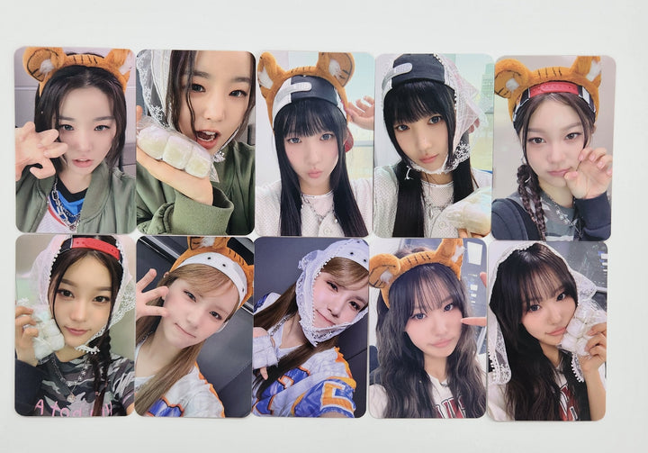 YOUNG POSSE "COLD" - B.Stage Fansign Event Photocard [25.4.10]