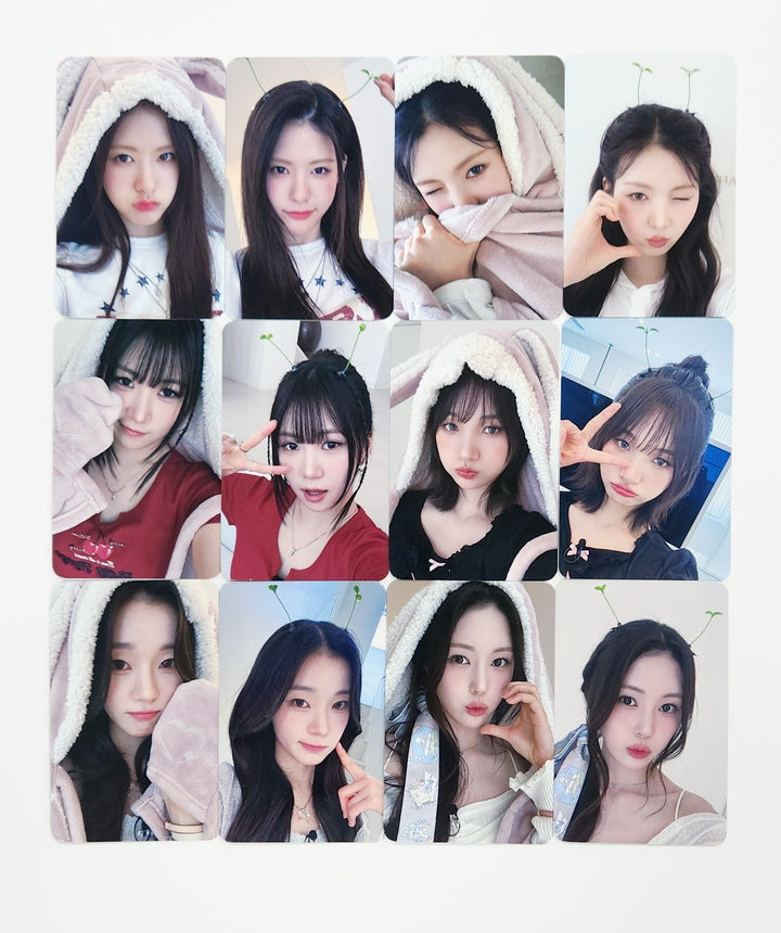 IFEYE "ERLU BLUE" - Makestar Fansign Event Photocard [25.5.26]