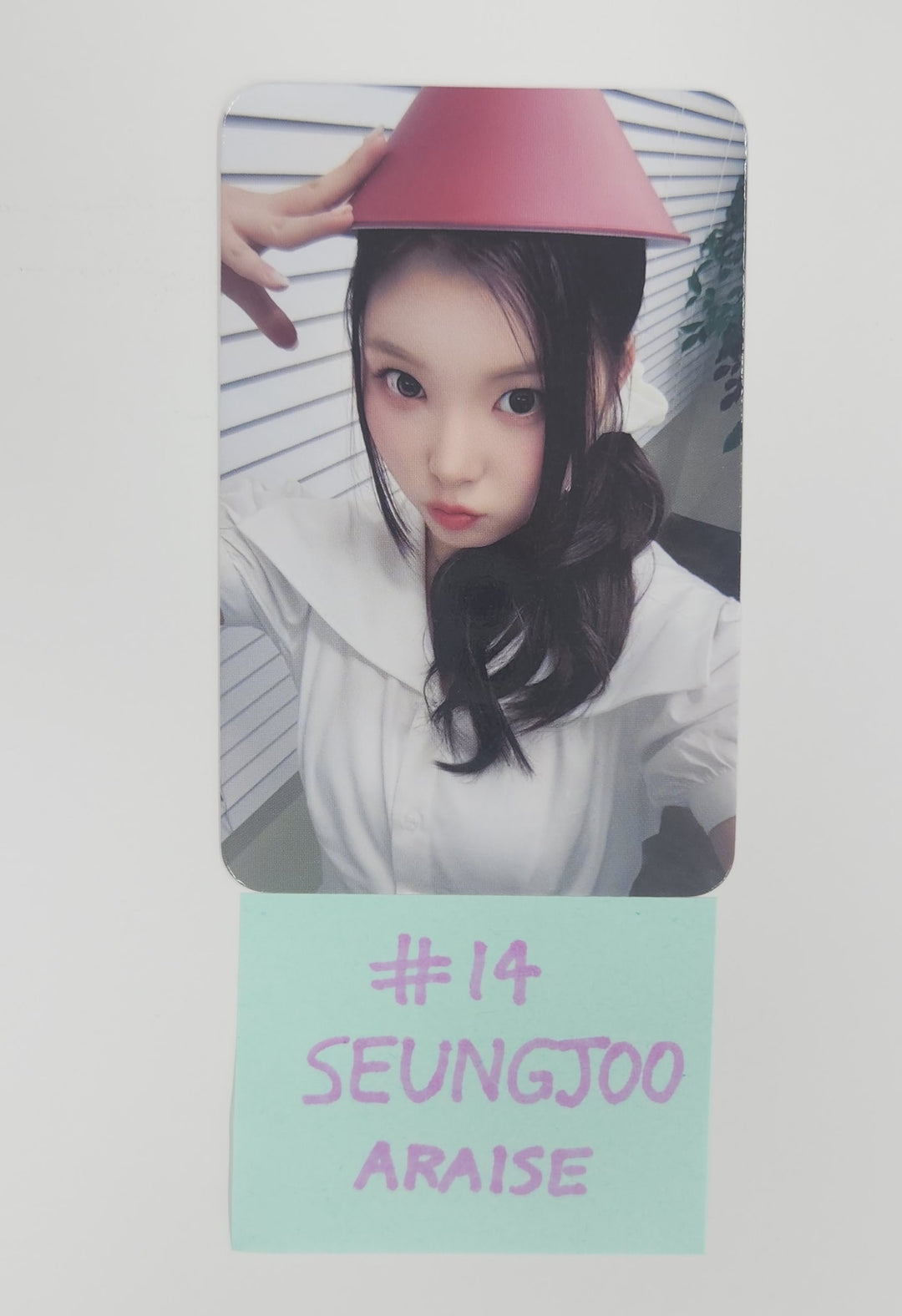 SAY MY NAME "My Name Is..." - ARAISE Fansign Event Photocard Round 2 [25.5.27]