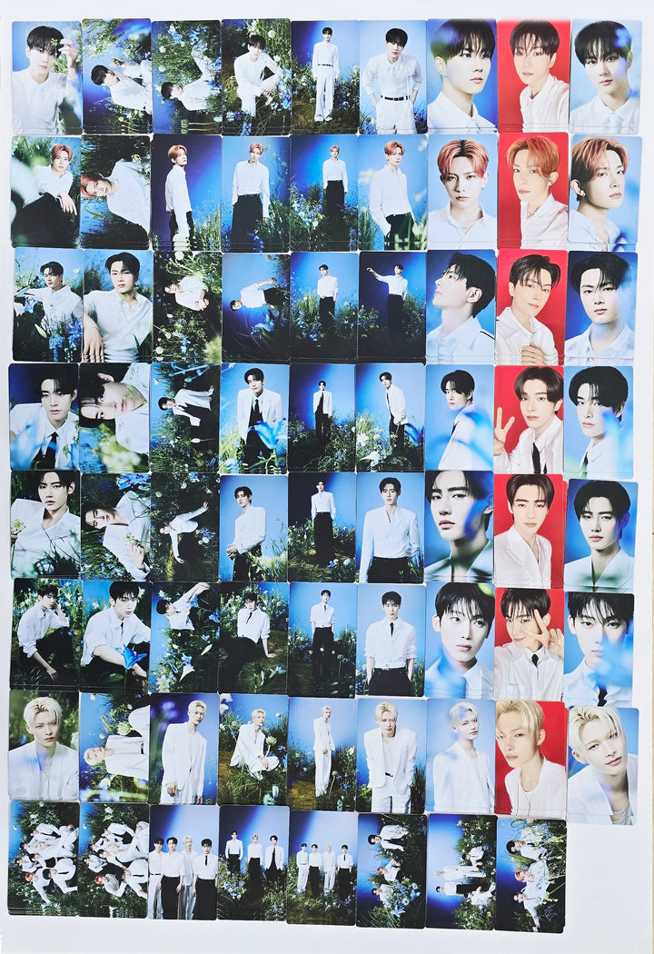 ENHYPEN - ENHYPEN WALK THE LINE : FINAL POP-UP Store Trading Photocard (1) [25.10.21]