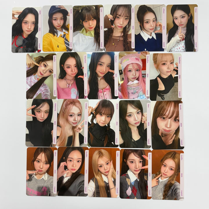 Triples_msnz "Beyond Beauty" - Official Photocard (Double Class Objeckt) [25.12.03]
