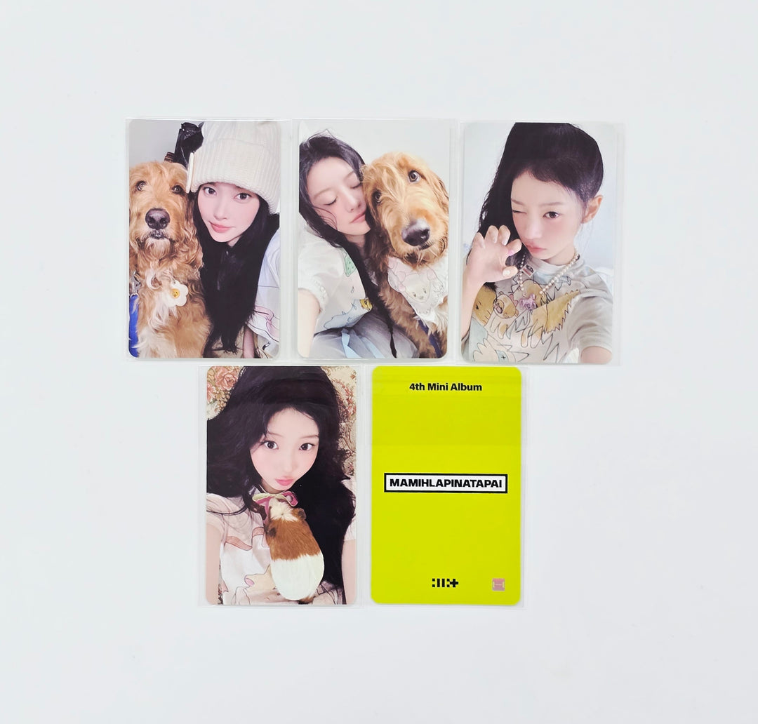 ILLIT "MAMIHLAPINATAPAI" - Music Korea Lucky Draw Event Photocard R2 [26.05.15]