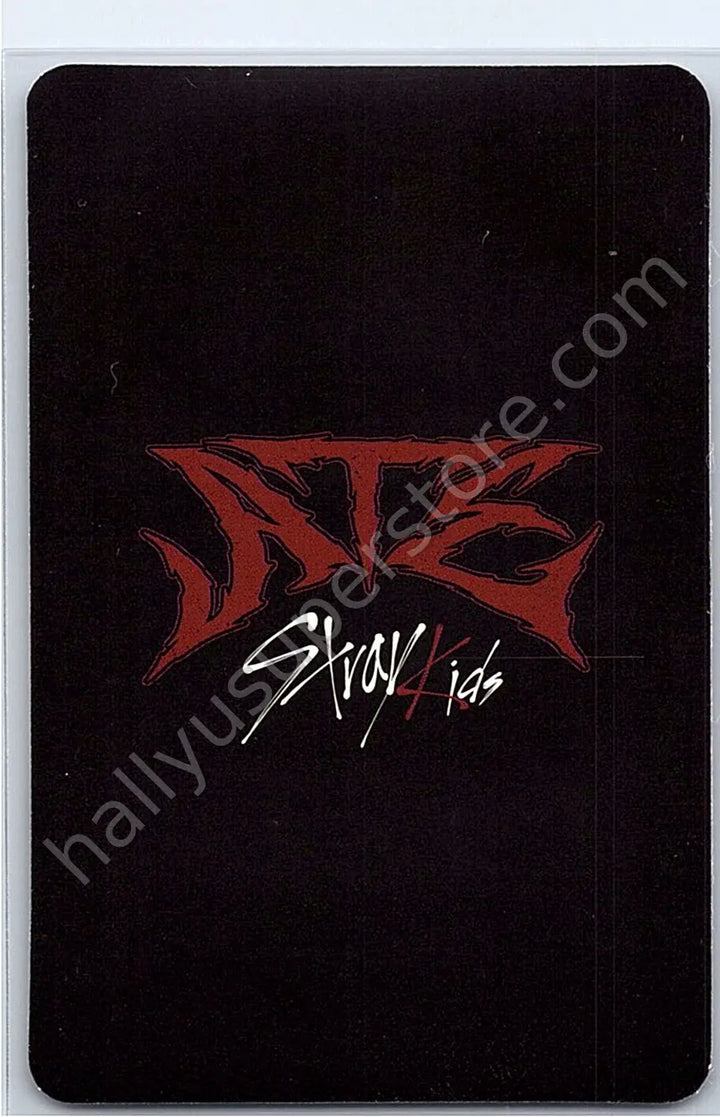 Stray Kids - Bang Chan - ATE aladin pob (pre-order benefit)