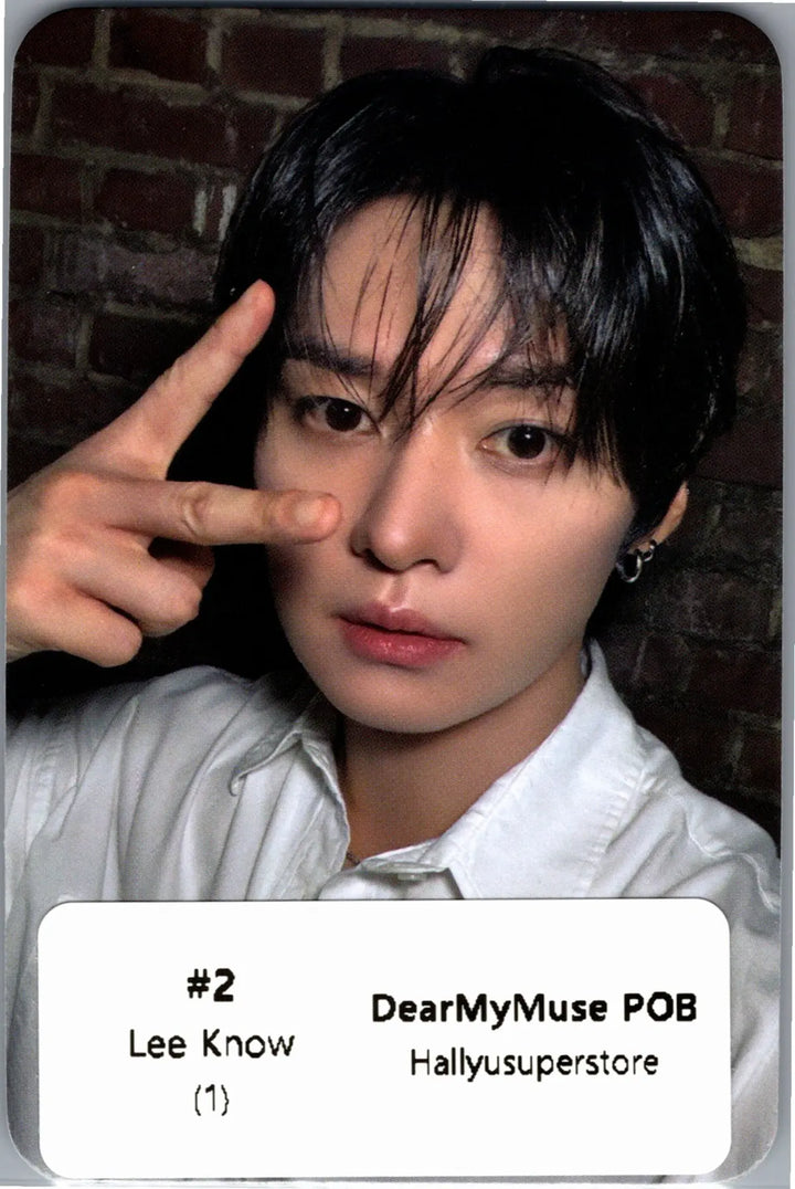 Stray Kids "THIS &amp; THAT" - Dear My Muse Pre-Order Benefit Photocard [26.08.13]
