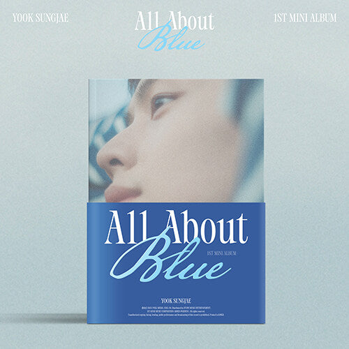 Yook Sungjae (Of BTOB) - 1st Mini Album 