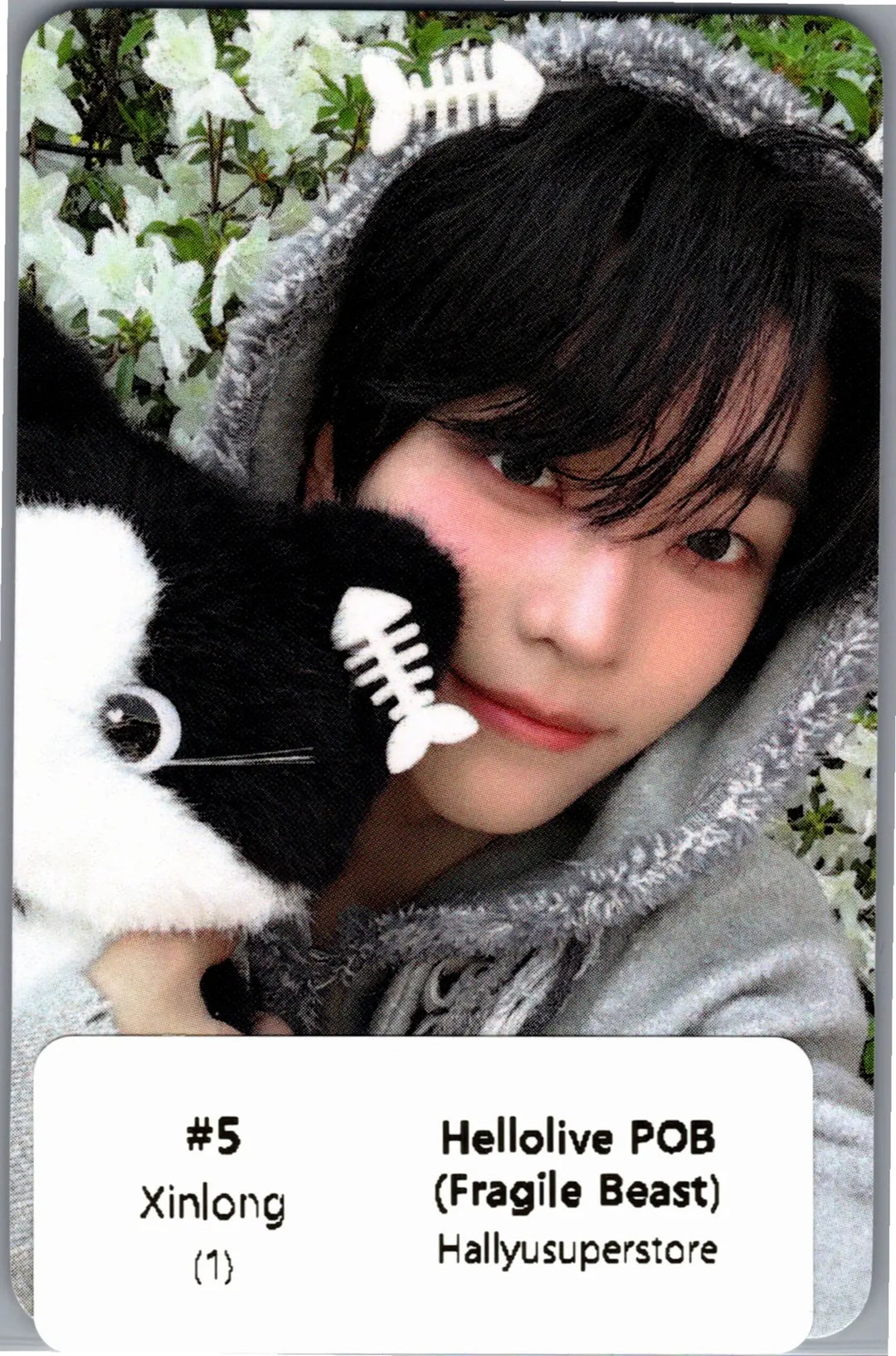 ALPHA DRIVE ONE "UNBREAKABLE : 少年BEAST" - Hellolive Pre-Order Benefit Photocards (Fragile Beast Ver.) [26.09.01]