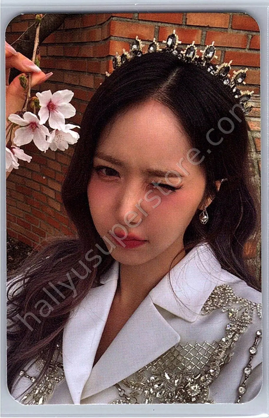 VIVIZ - SinB - 2024 VIVIZ World Tour &