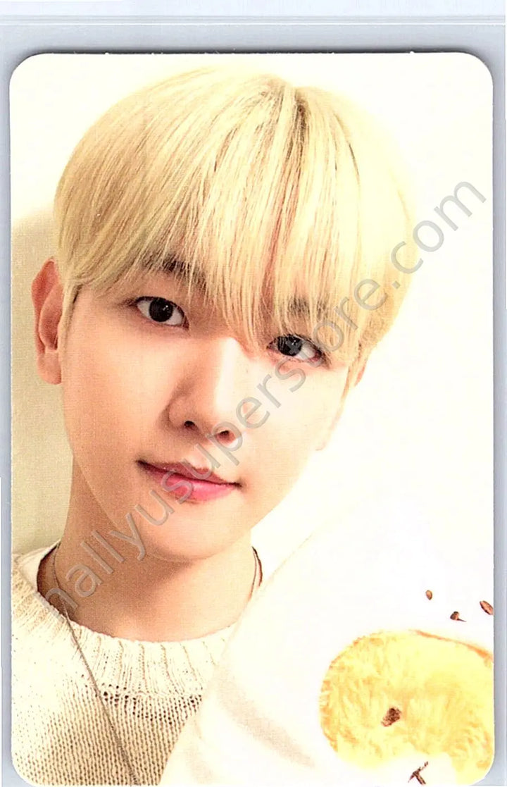 EXO - Baekhyun - EXO - Baekhyun - BAEKHYUN - [TEOLAEGI ZIPDURI] POP-UP STORE Event merch photocard lucky card photocard set B version