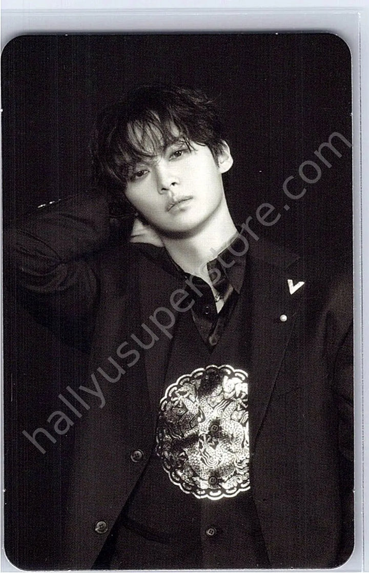 Stray Kids - Lee Know - HOP accordion version album photocard monochrome