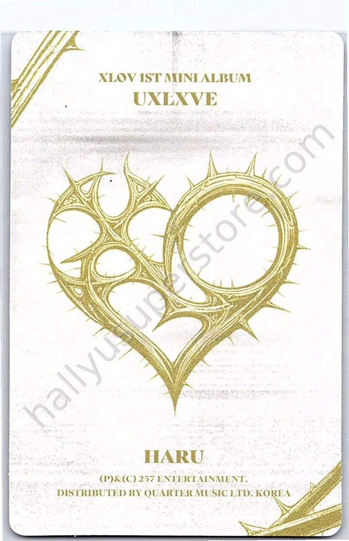 XLOV - Haru - UXLXVE album photocard N version
