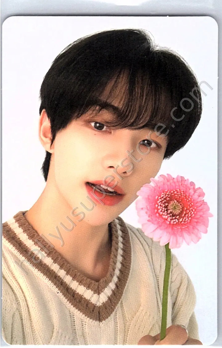 Stray Kids - Hyunjin - NACIFIC  x Stray Kids
