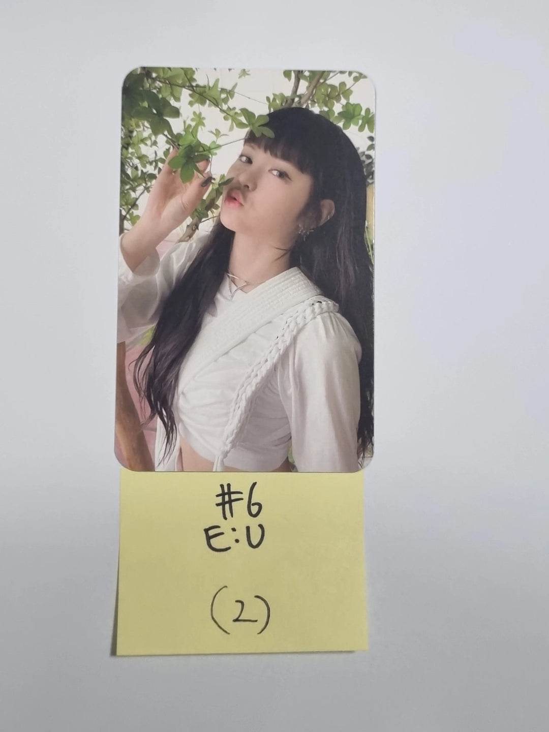Everglow &