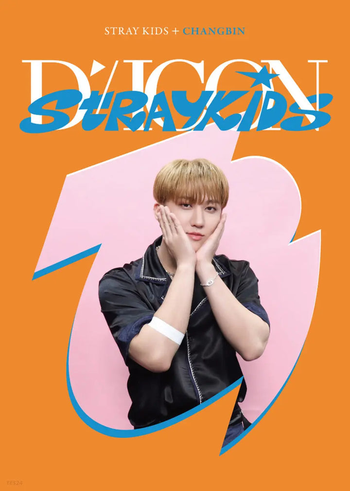 Stray Kids DICON D&