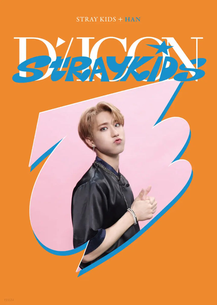 Stray Kids DICON D&