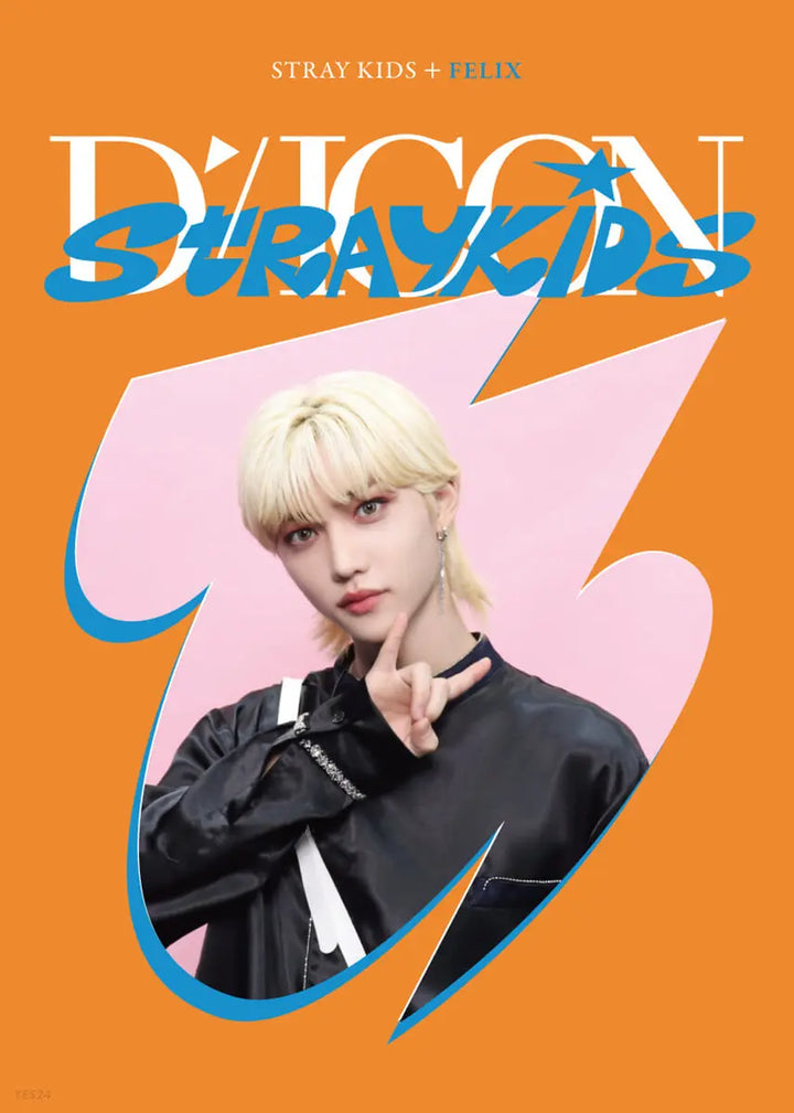 Stray Kids DICON D&