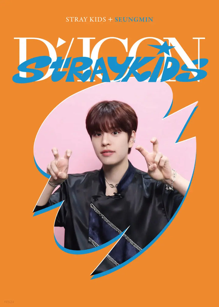 Stray Kids DICON D&