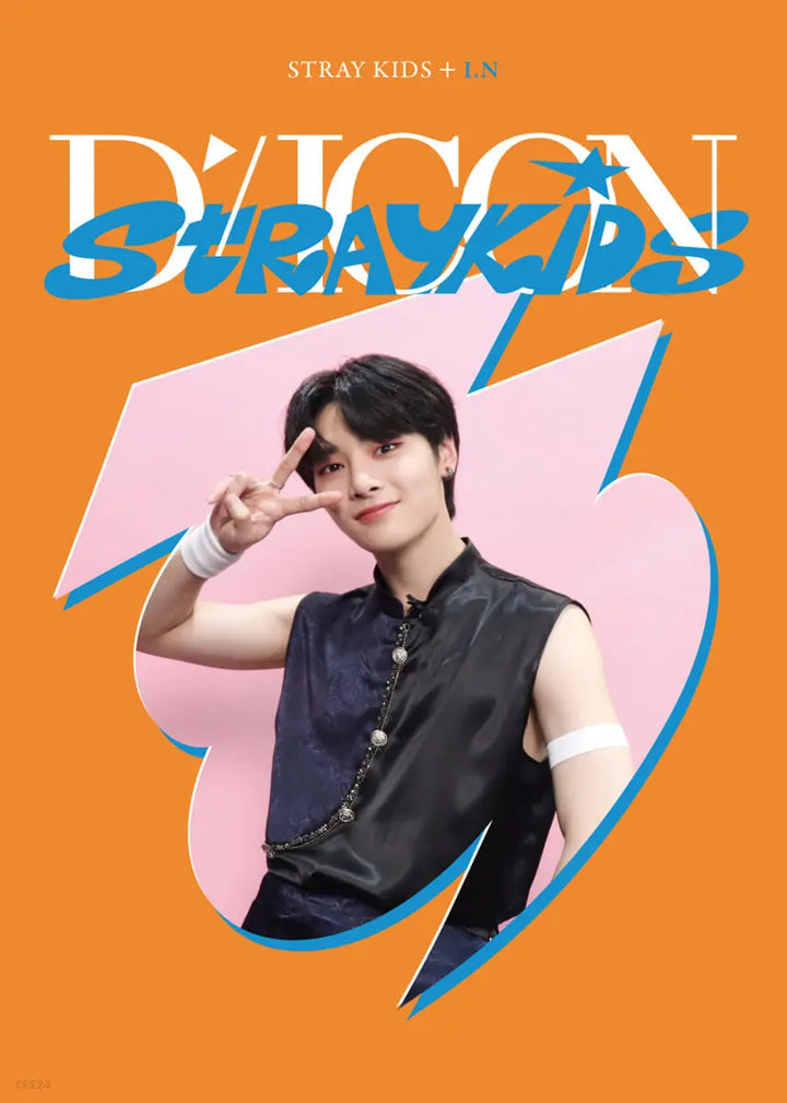 Stray Kids DICON D&