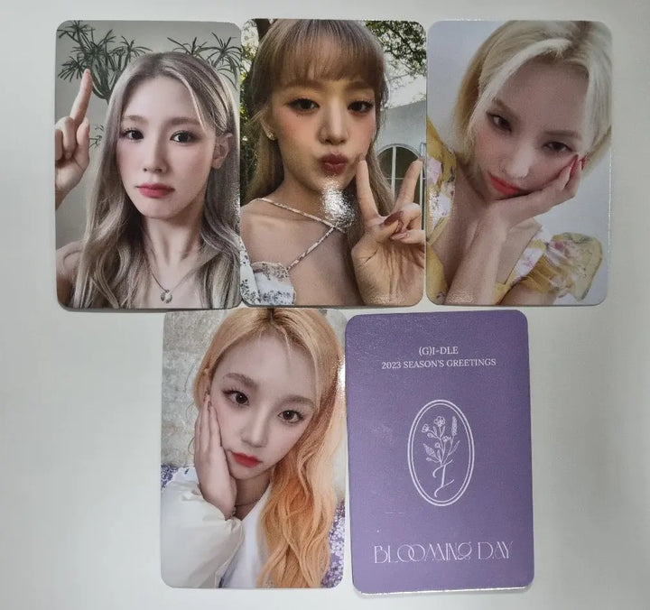 (G) I-DLE Season&
