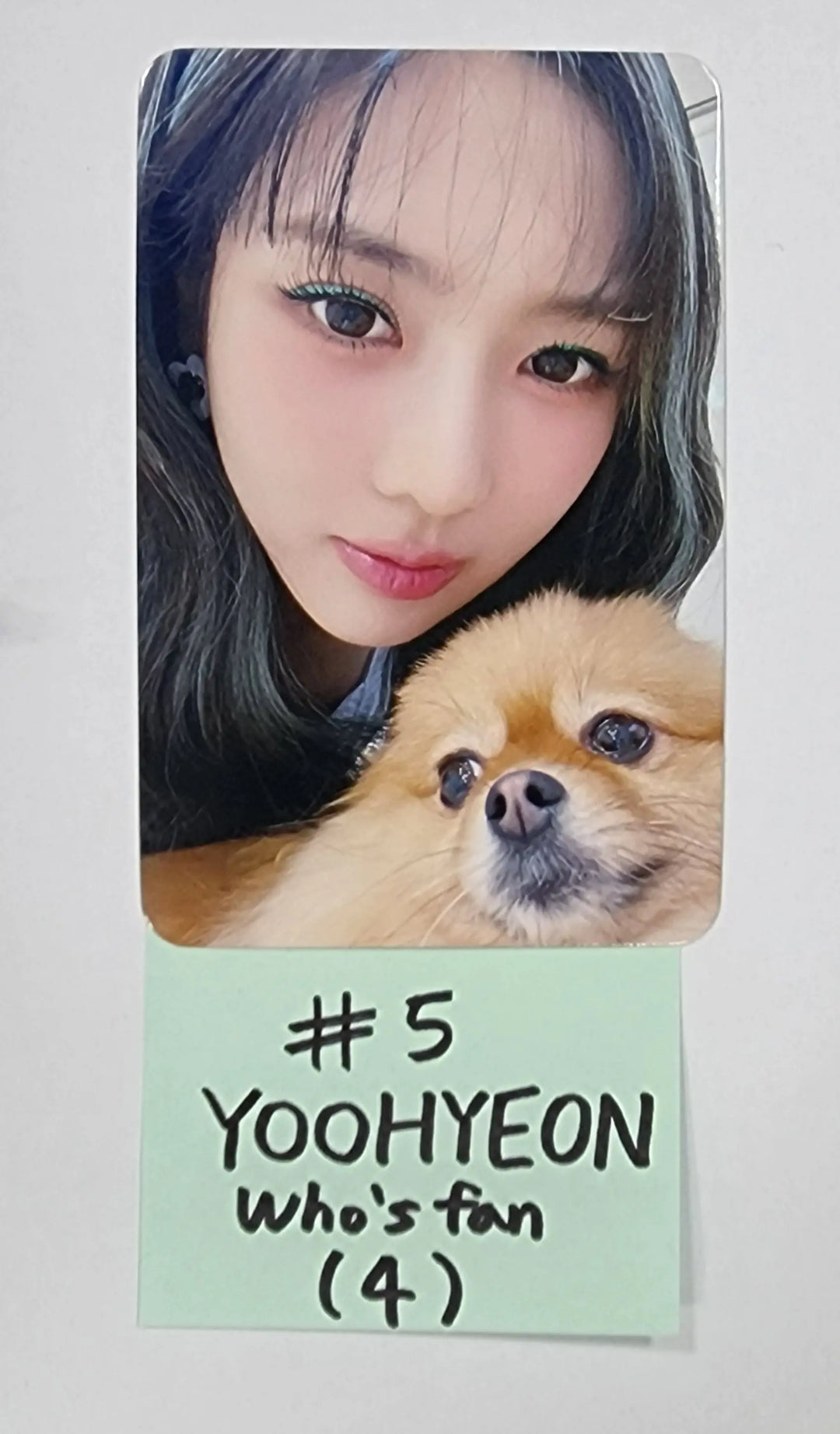 Dreamcatcher &