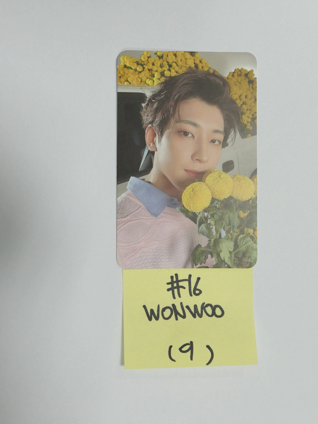 Seventeen &