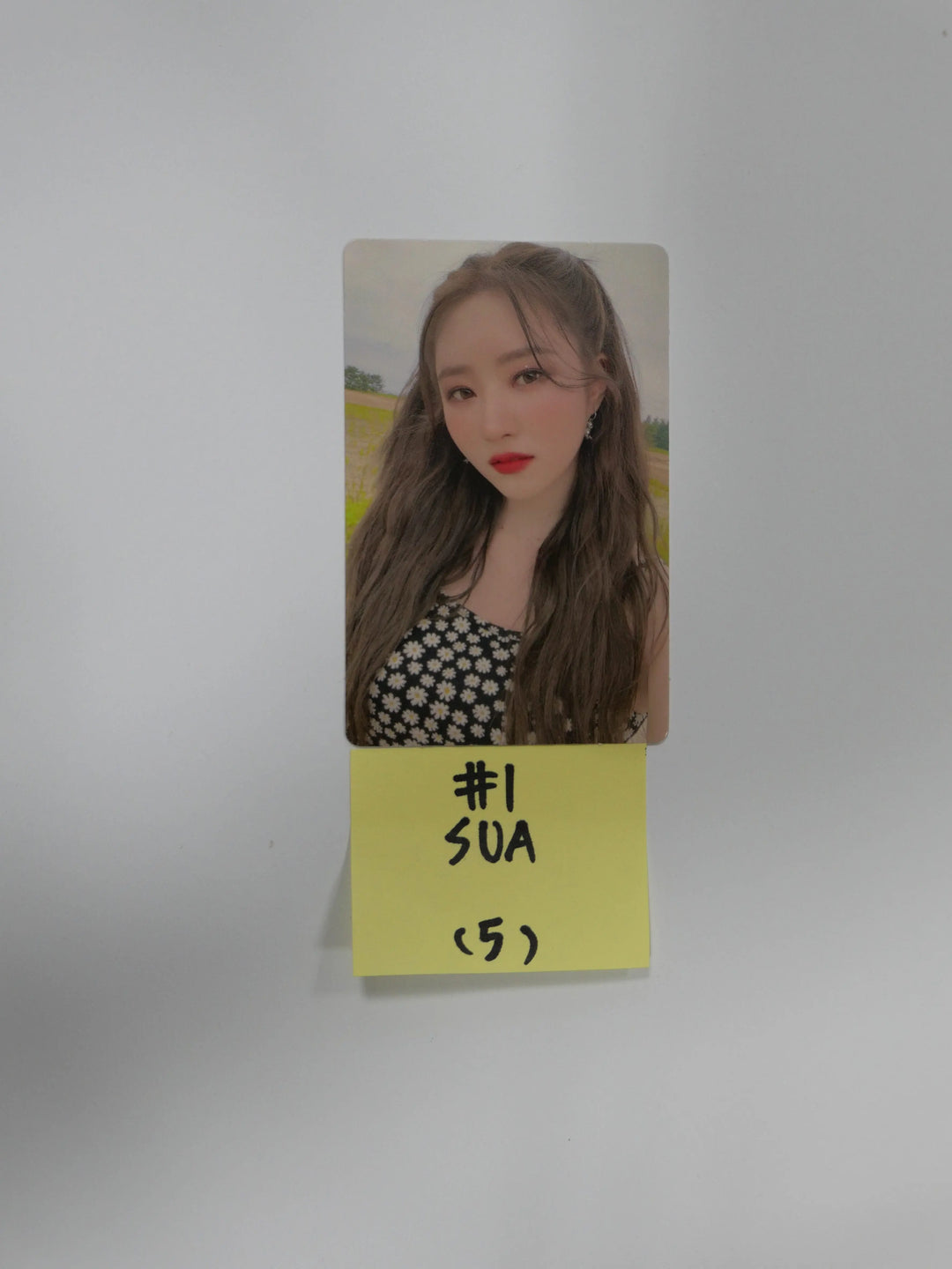 Dreamcatcher "Summer Holiday" - Official Photocard (Jiu, Sua, Siyeon ) - HALLYUSUPERSTORE