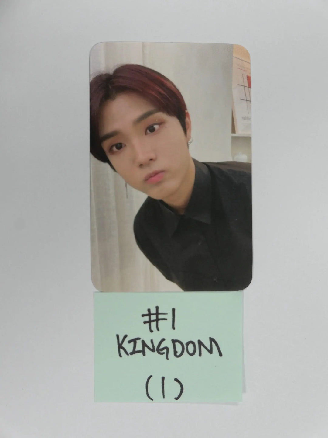 Kingdom &