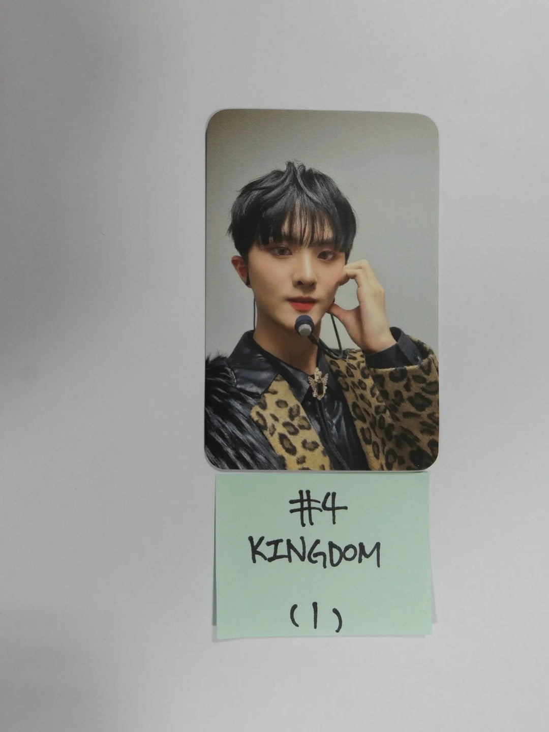 Kingdom &